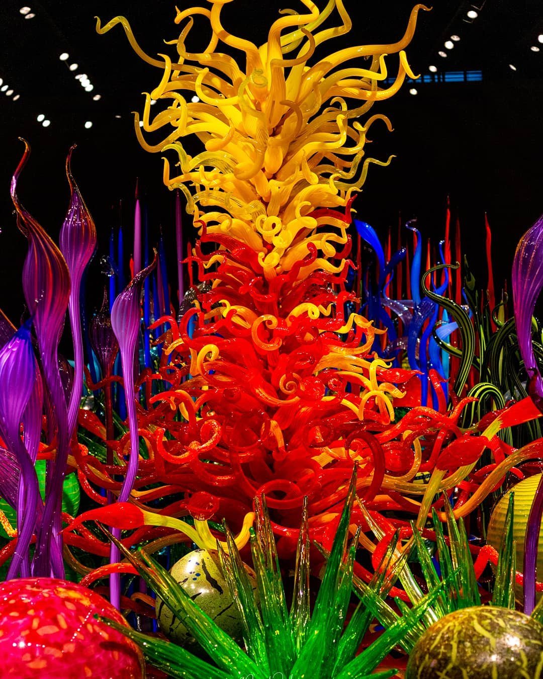 美国Chihuly玻璃艺术园