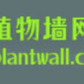 中国植物墙网