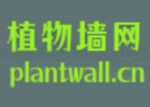 中国植物墙网