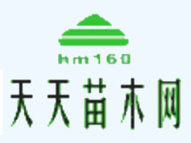 中国天天苗木网
