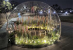 韩国九里市的泡泡花园