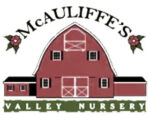 美国McAuliffe的山谷苗圃