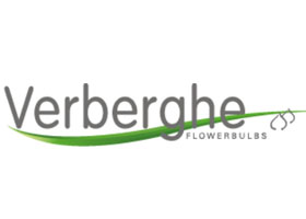 荷兰Verberghe Bloembollen花卉球茎