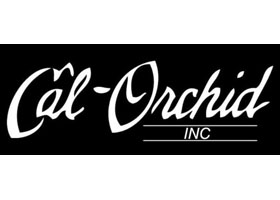 美国加州兰花公司Cal-Orchid