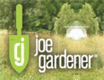 美国joe园丁网joegardener.com