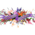 美国blooming苗圃