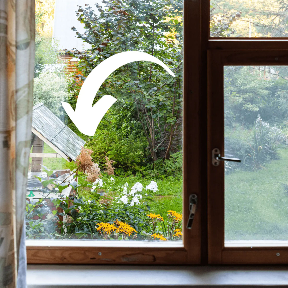 让花园窗外的景色更漂亮的10个方法