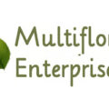 美国Multiflora Enterprises棕榈苗圃