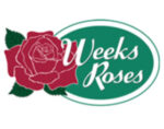 美国Weeks Roses玫瑰苗圃