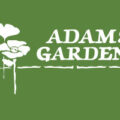 美国Adams Gardens苗圃和花园中心