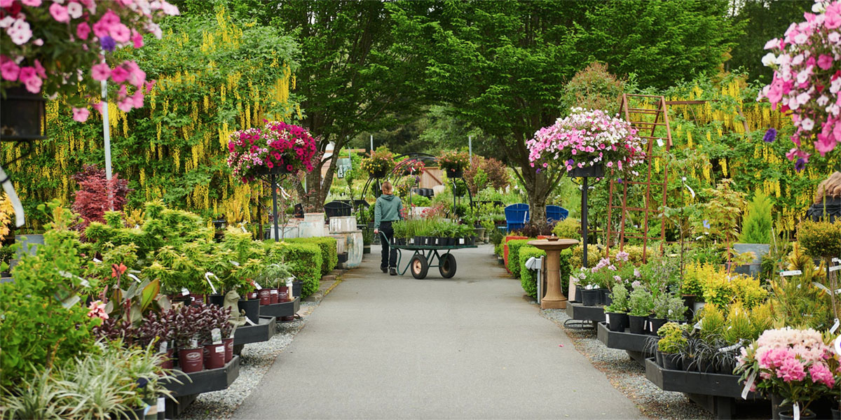 美国湾景花园Bayview Garden