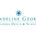 美国Madeline George花园设计和苗圃