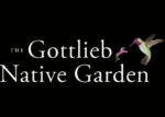 美国加州戈特利布原生花园Gottlieb Native Garden