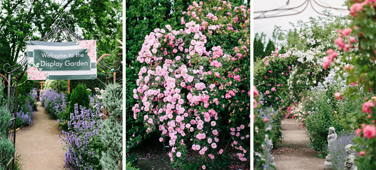 美国玫瑰园花园中心Rosarium Garden Center