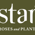 美国STAR玫瑰和植物公司