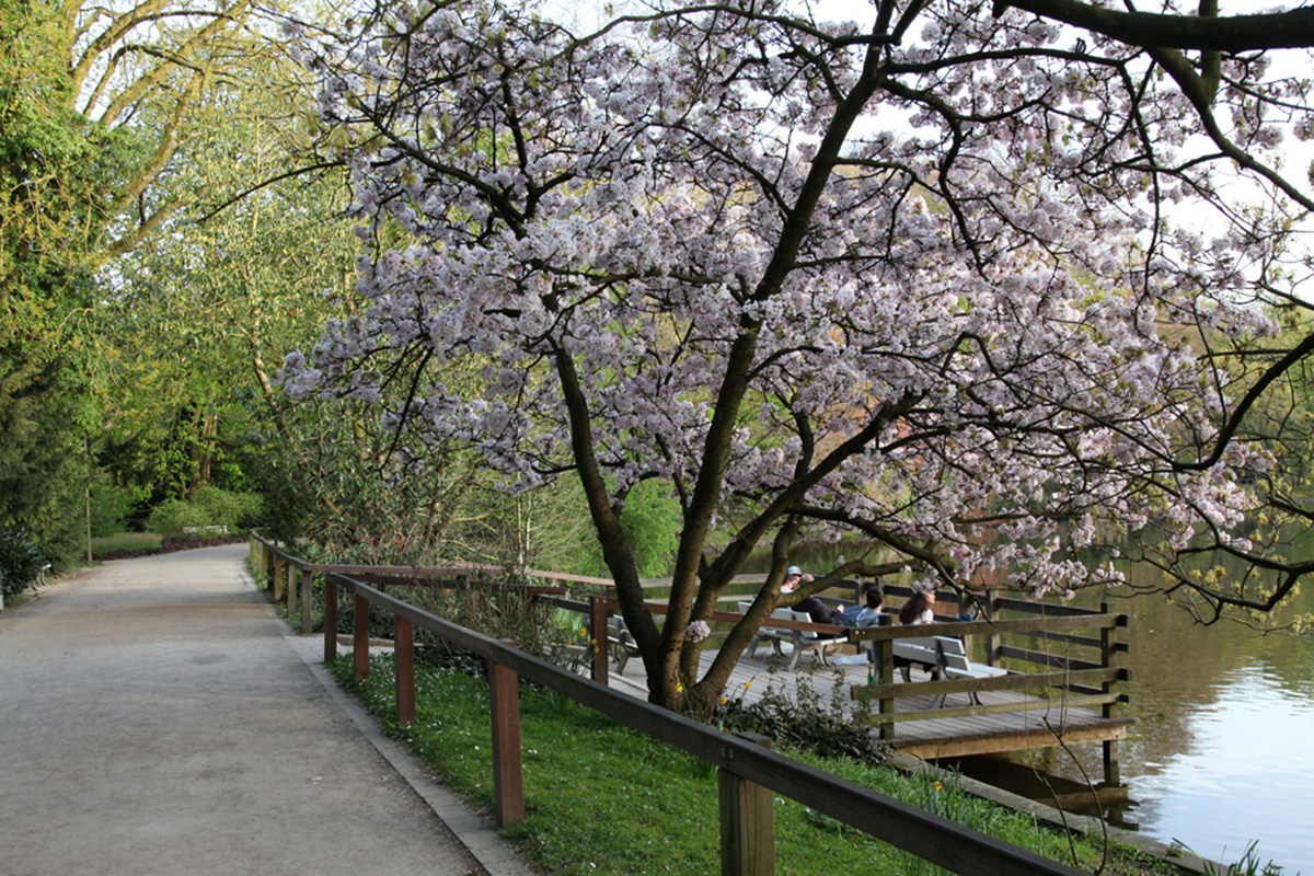 德国多特蒙德隆伯格植物园Rombergpark