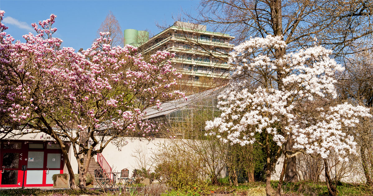 德国波鸿鲁尔大学植物园