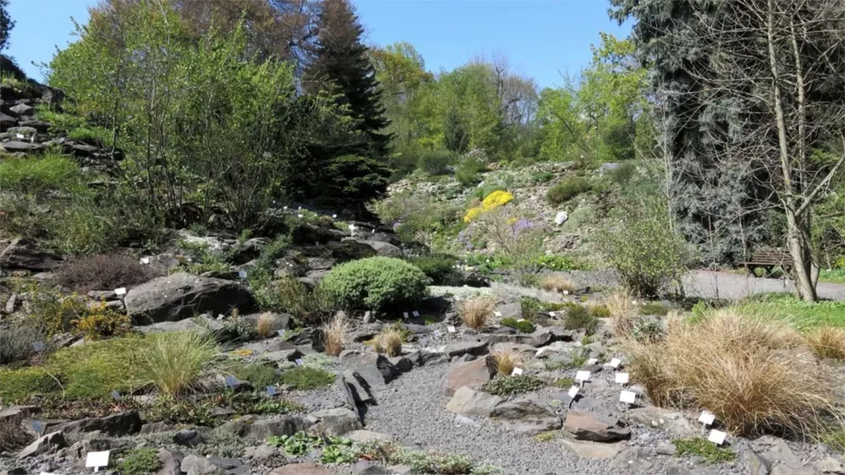 德国耶拿植物园Botanischer Garten Jena