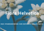 瑞士FLORA HELVETICA植物识别APP