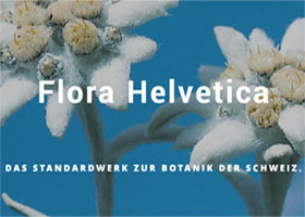 瑞士FLORA HELVETICA植物APP