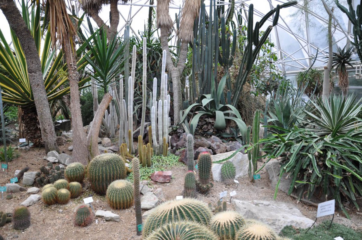 植物展示屋