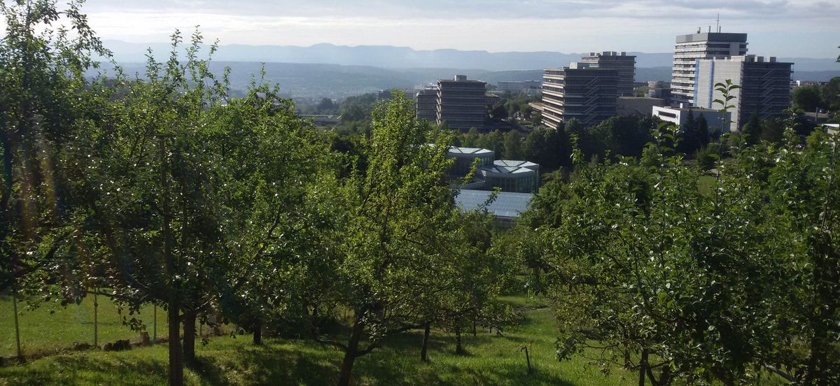 德国蒂宾根大学植物园