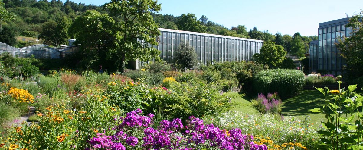 德国蒂宾根大学植物园