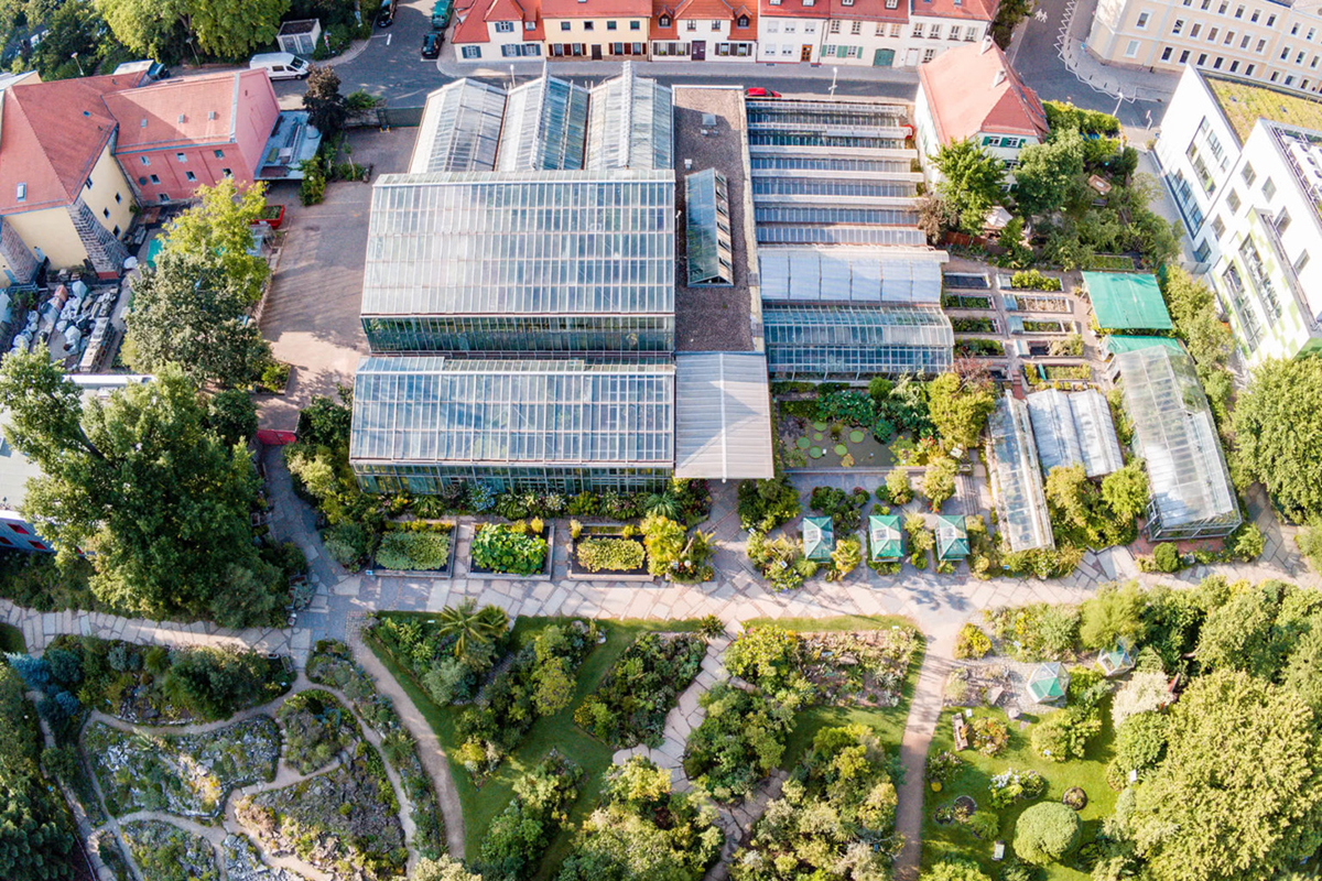 德国埃尔兰根·纽伦堡-弗里德里希·亚历山大大学植物园