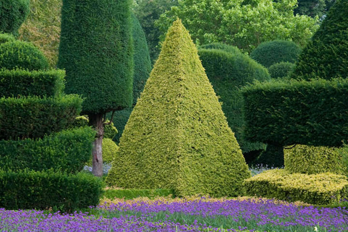 英国LEVENS庄园 LEVENS HALL & GARDENS