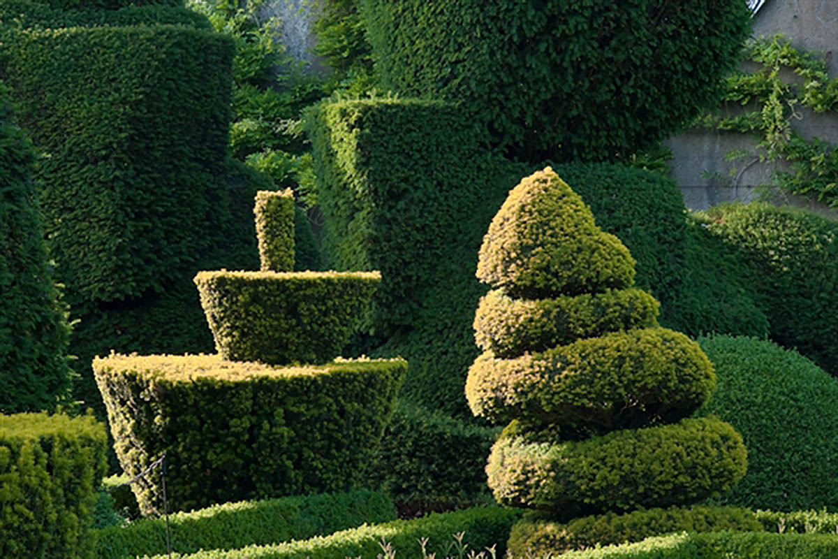 英国LEVENS庄园 LEVENS HALL & GARDENS