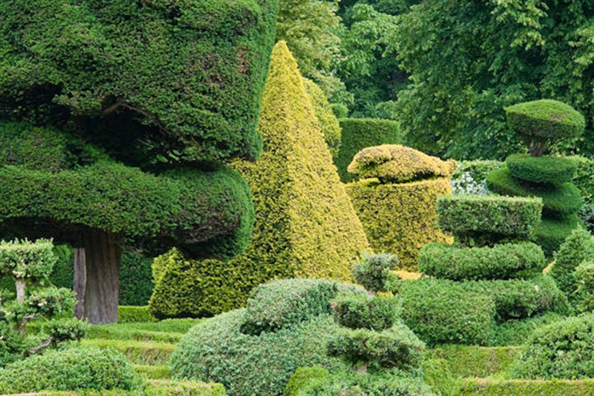 英国LEVENS庄园 LEVENS HALL & GARDENS