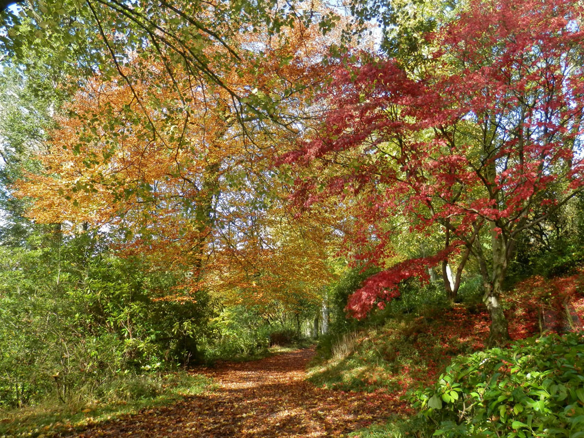 英国斯托海德庄园Stourhead