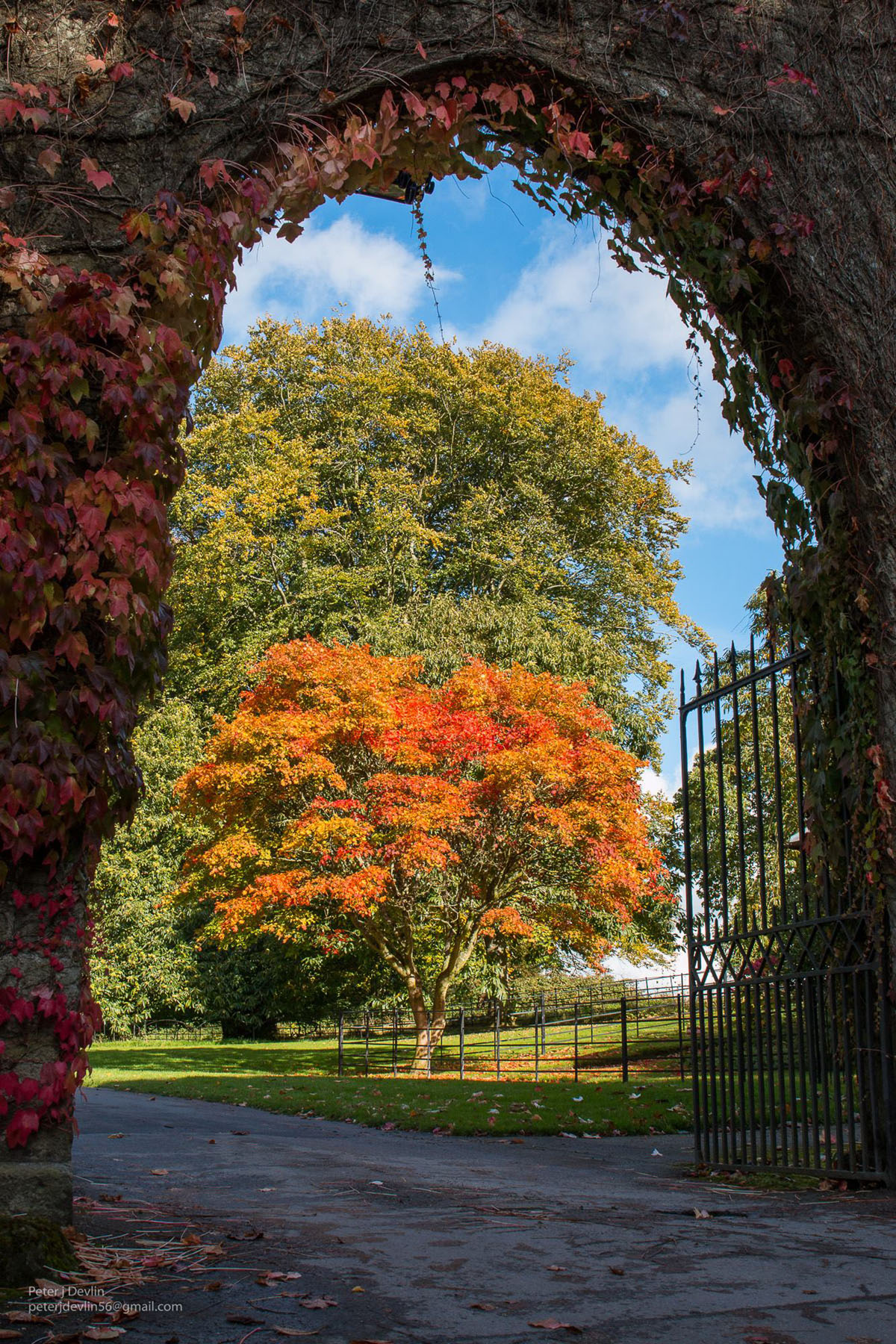 英国斯托海德庄园Stourhead