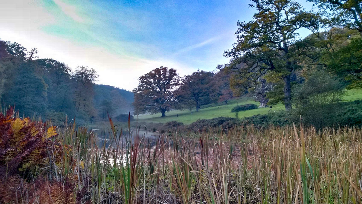 英国斯托海德庄园Stourhead