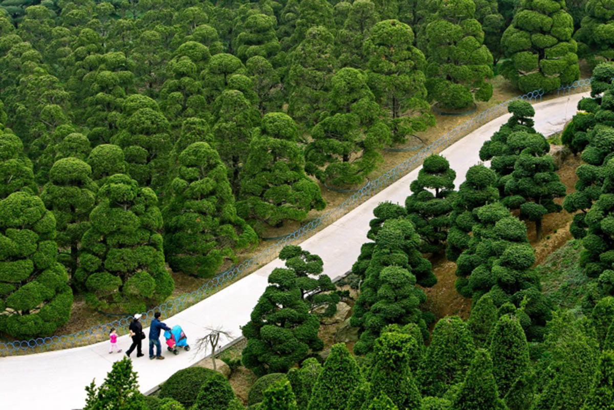 韩国世宗市Sejong City, South Korea