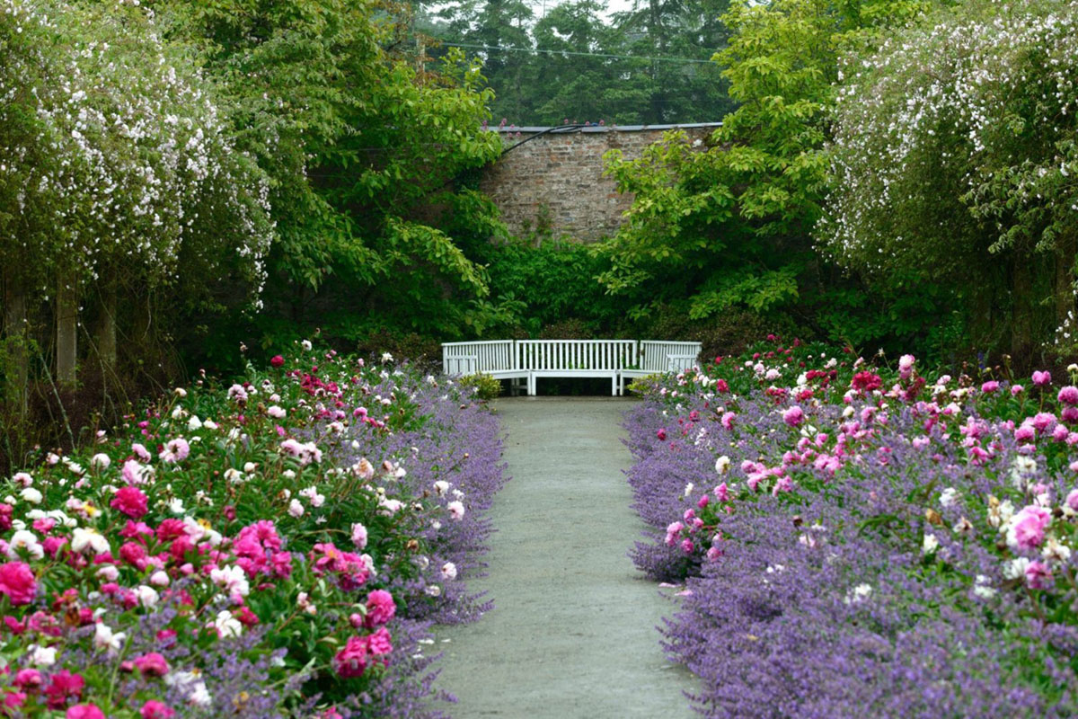 康格里夫山花园，爱尔兰 Mount Congreve Gardens, Ireland