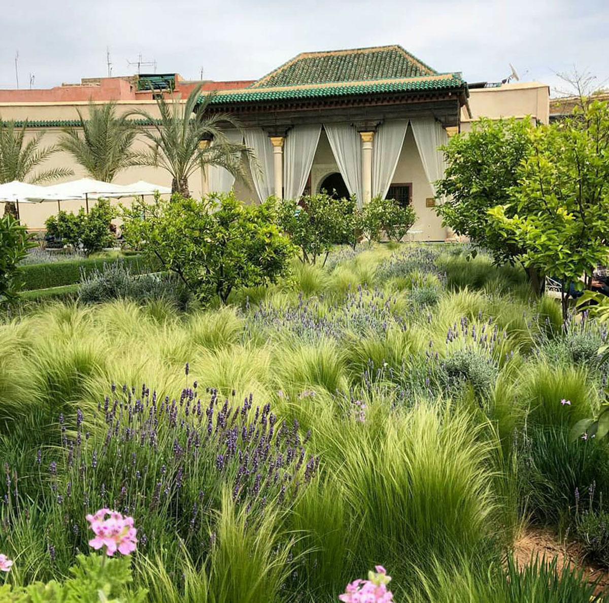 秘密花园，摩洛哥 Le Jardin Secret, Morocco，2024年度国际花园旅游奖