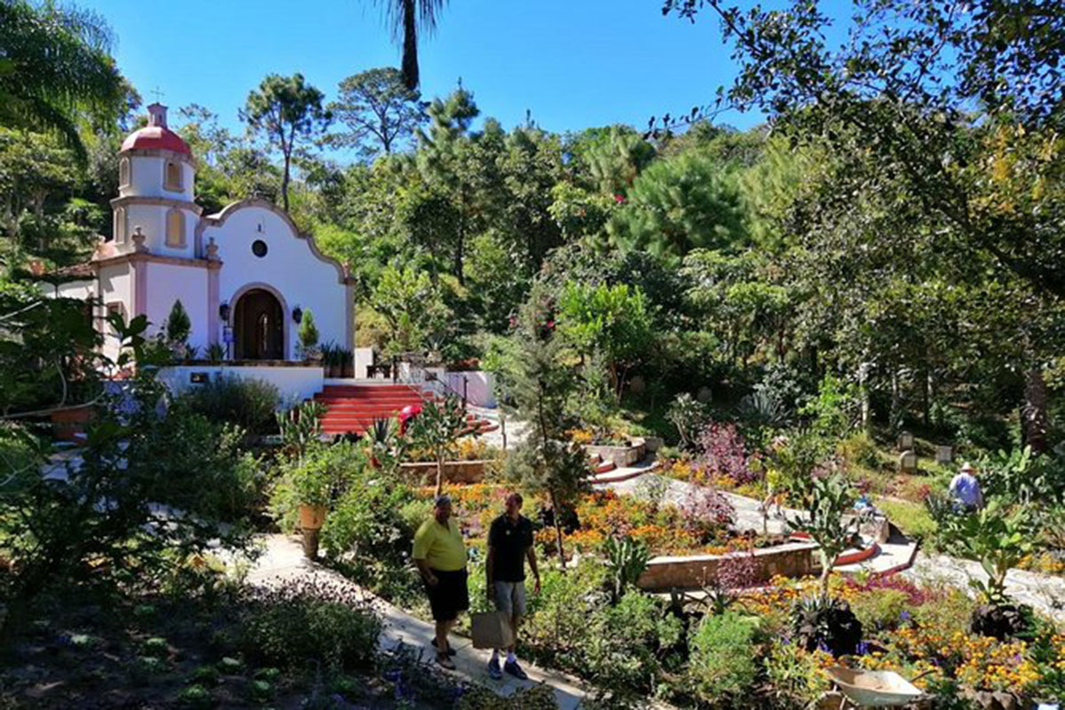 巴亚尔塔植物园，墨西哥 Vallarta Botanical Garden, Mexico