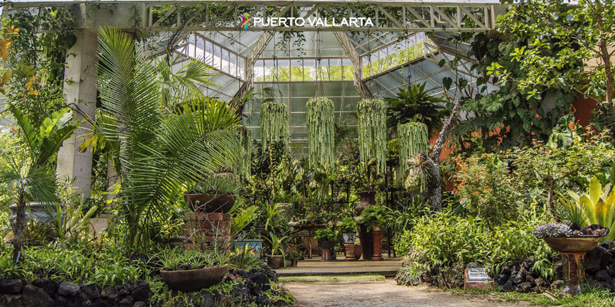 巴亚尔塔植物园，墨西哥 Vallarta Botanical Garden, Mexico