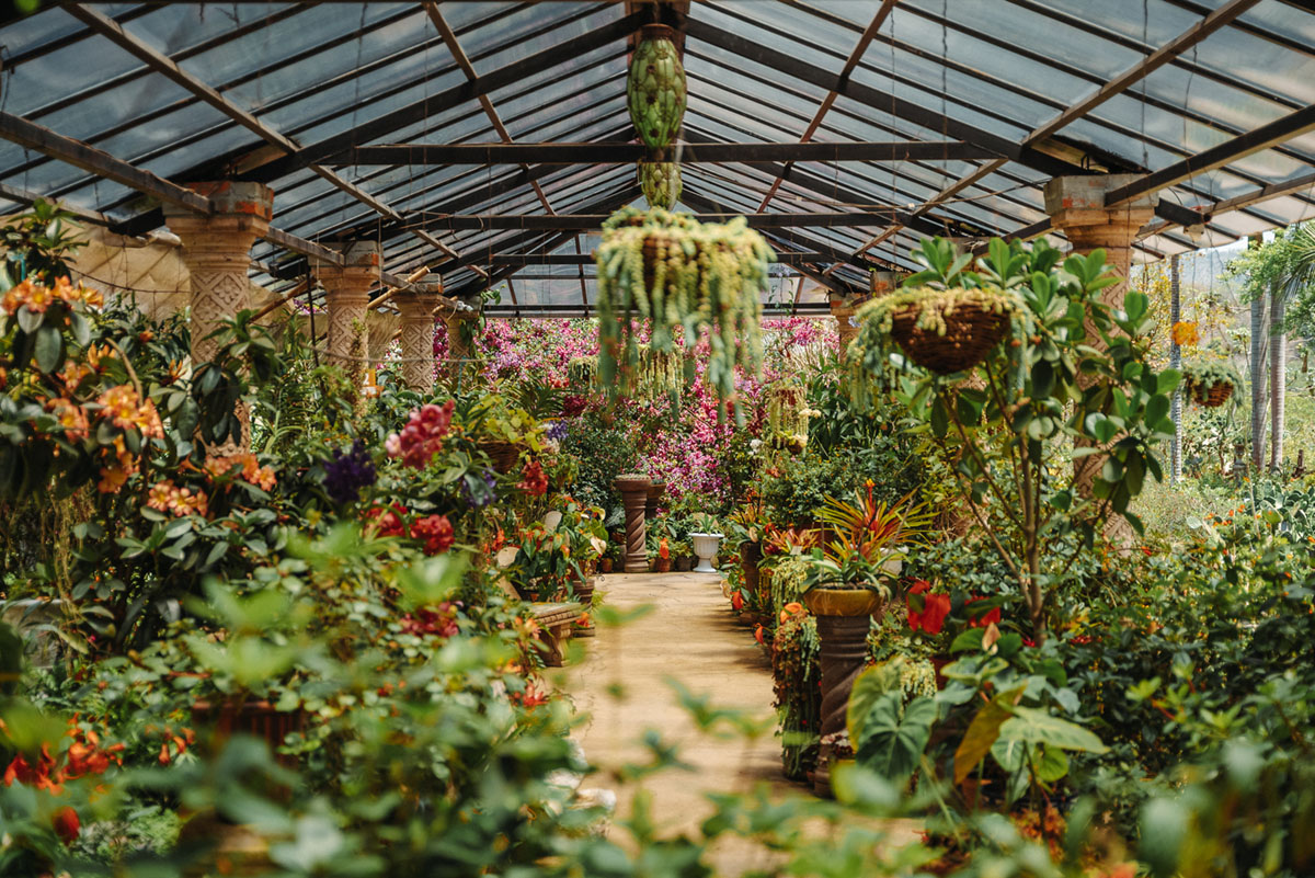 巴亚尔塔植物园，墨西哥 Vallarta Botanical Garden, Mexico