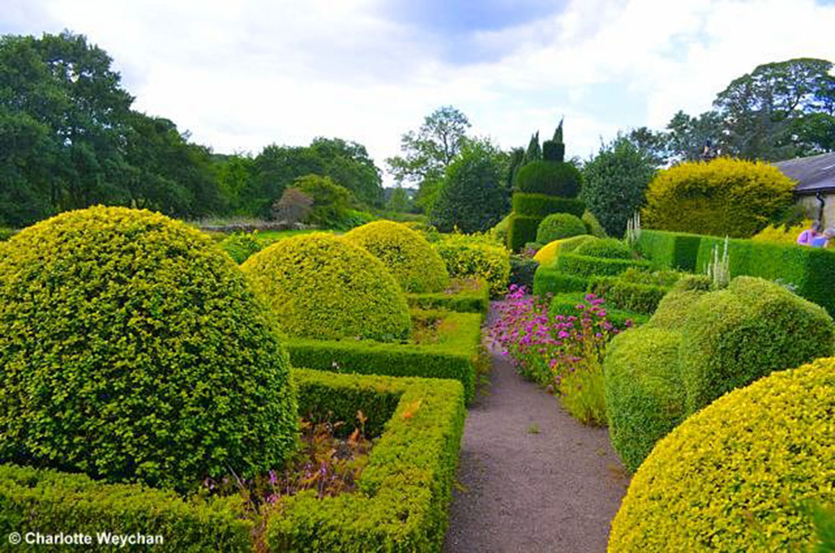 占地一英亩的杰作花园-英国赫特顿花园 Herterton House Gardens