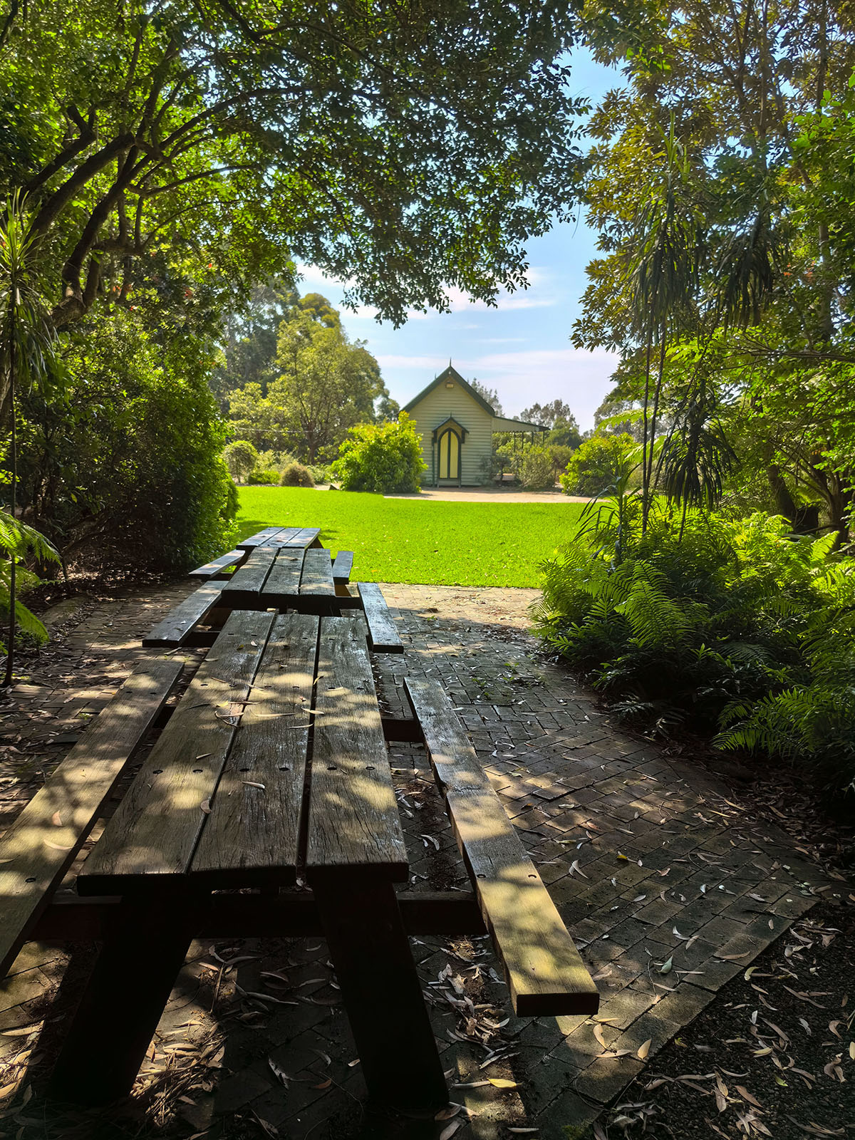 澳大利亚格雷维利亚公园 Illawarra Grevillea Park