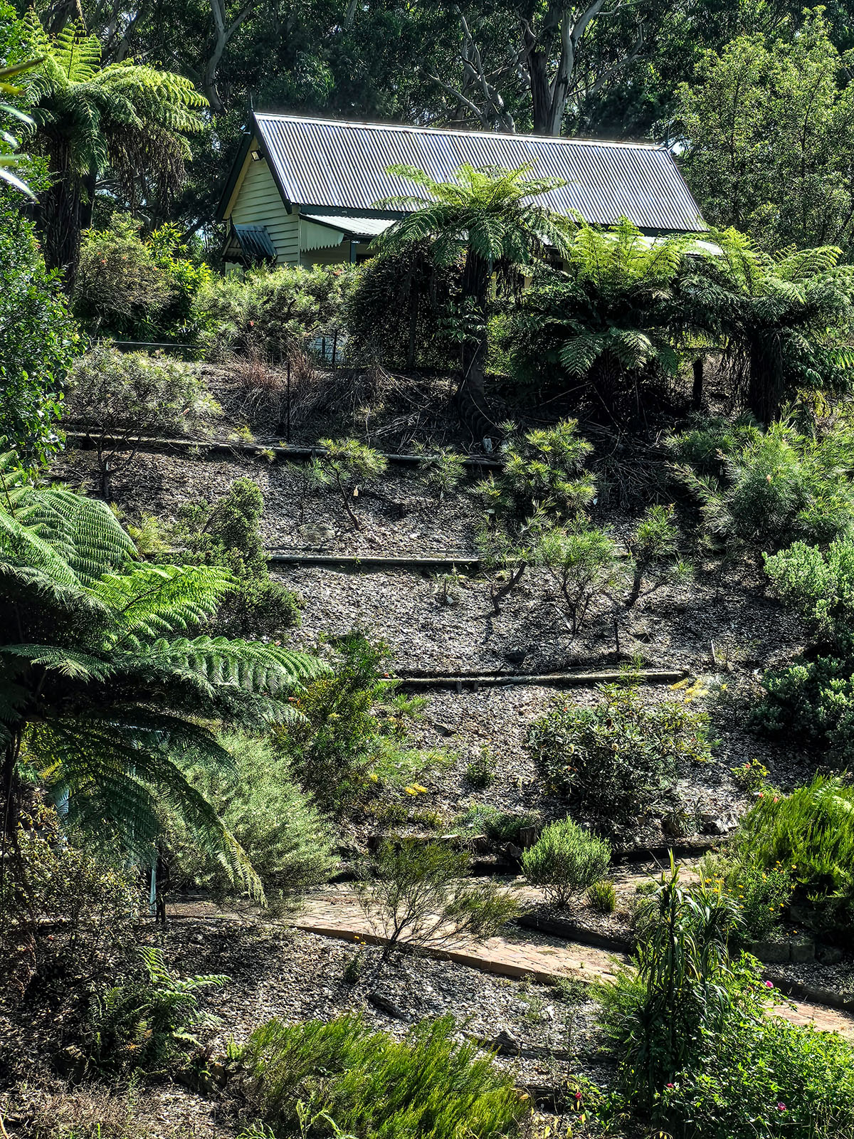 澳大利亚格雷维利亚公园 Illawarra Grevillea Park