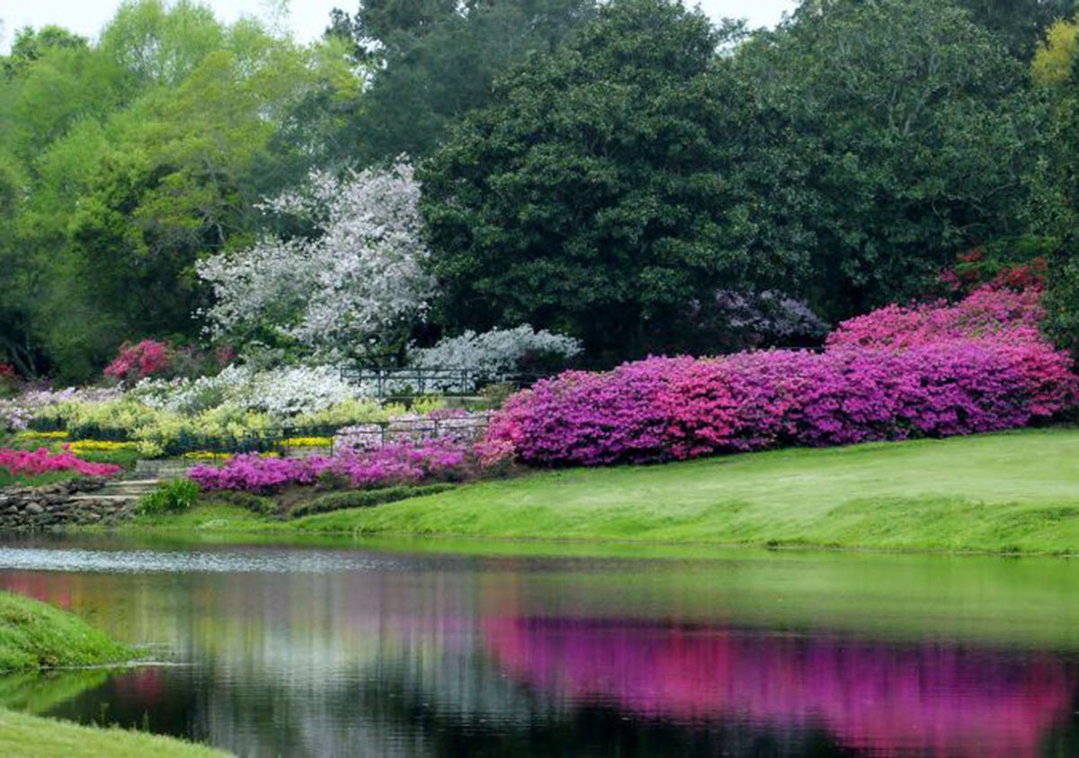 美国贝林格拉斯花园Bellingrath Gardens，USA 