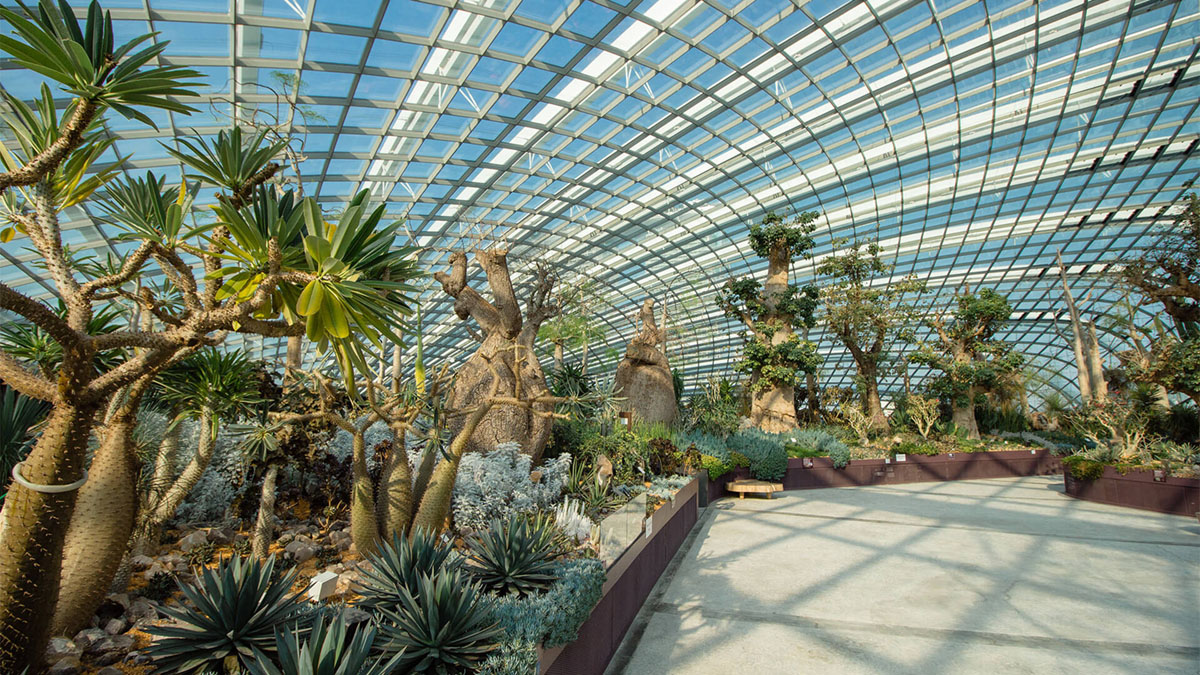 滨海湾花园，新加坡 Gardens by the Bay, Singapore