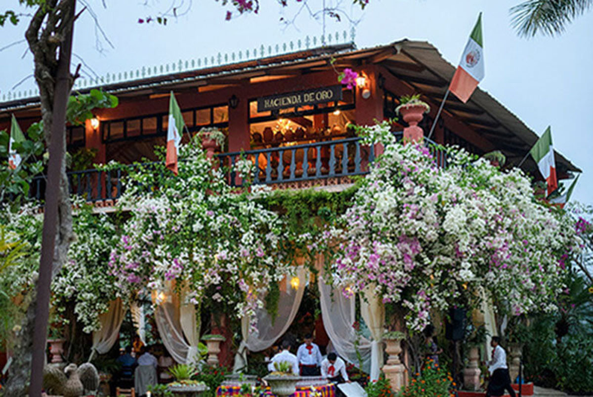 巴亚尔塔植物园，墨西哥 Vallarta Botanical Garden, Mexico