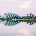 滨海湾花园，新加坡Gardens by the Bay, Singapore