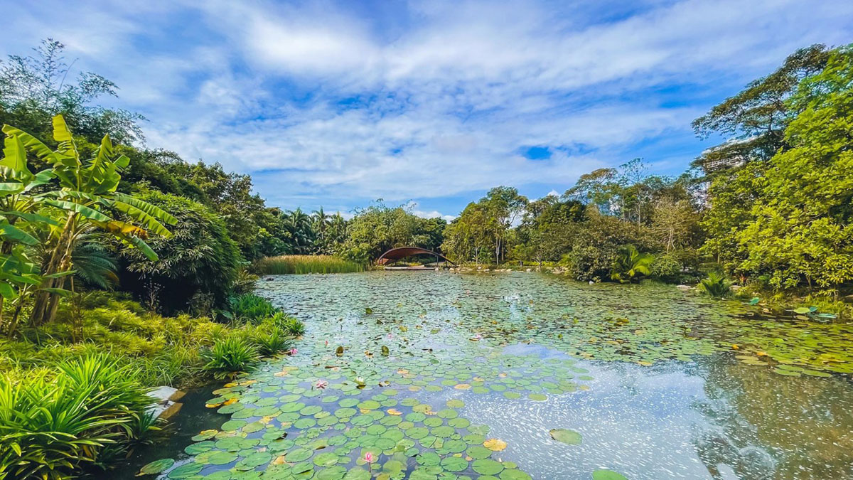 滨海湾花园，新加坡 Gardens by the Bay, Singapore