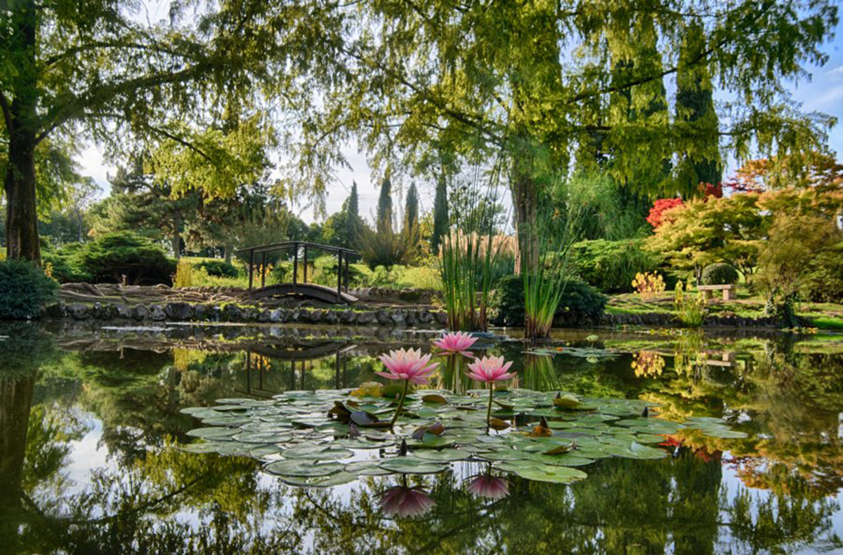 Sigurtà花园，意大利Parco Giardino Sigurtà, Italy