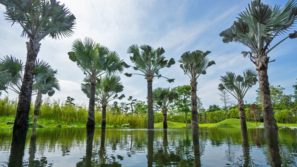 滨海湾花园，新加坡 Gardens by the Bay, Singapore